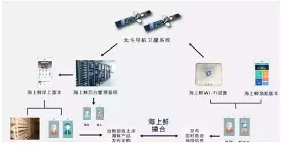 消費升級推動海鮮市場品牌化運營與金融服務融合（下）