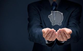 魚貓金服 金融服務全解析，讓財富管理觸手可及